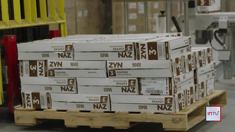 Zyn nicotine pouches: the latest challenge for schools battling teen addiction