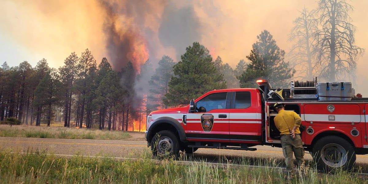 White Sage Fire grows to 52,990 acres with 4% containment in northern Arizona