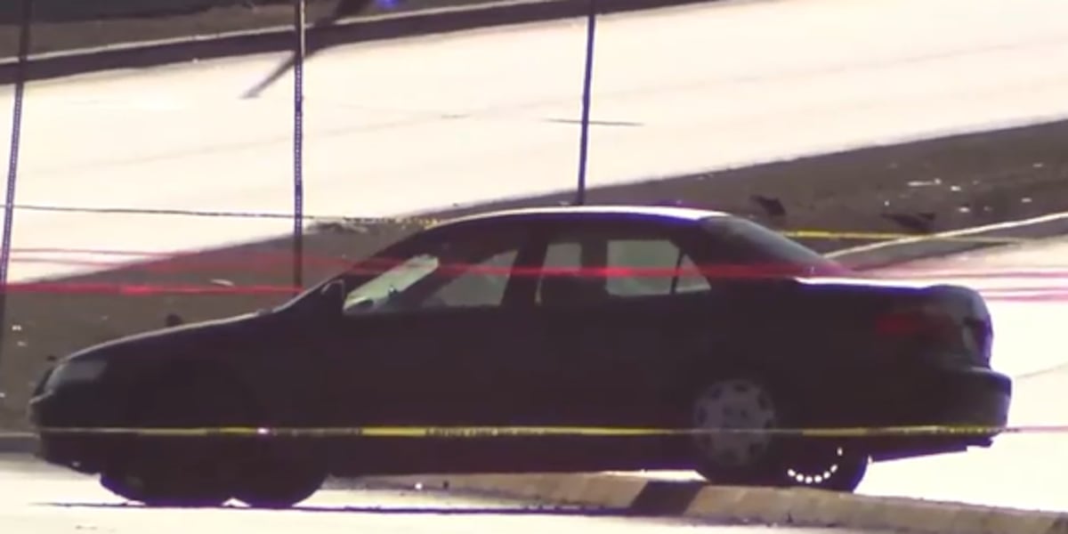 Driver shot after fleeing stop with kids, dog in vehicle in North Las Vegas Driver shot after fleeing stop with kids, dog in vehicle in North Las Vegas