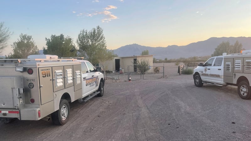 The Nye County Sheriff's Office says around 300 were seized