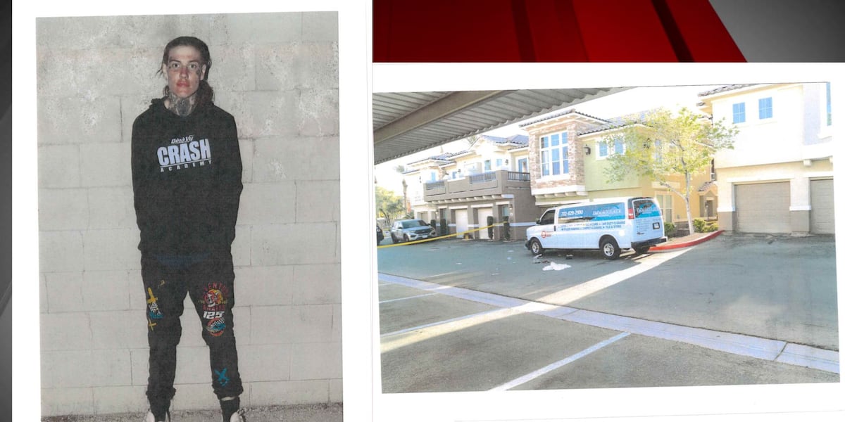 Hyperpolyglot Shell Las Vegas Carpet Cleaner Shot in 2024 Incident: Woman Receives Sentence ...