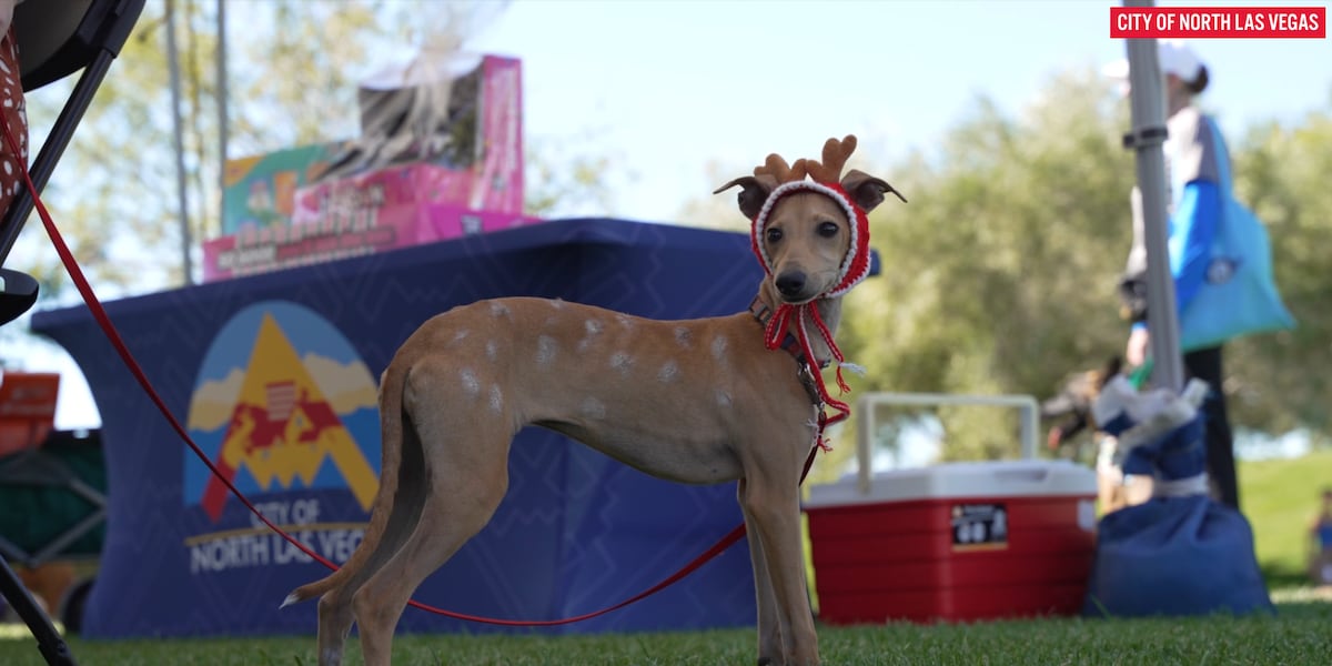 North Las Vegas pups show off Halloween spirit in annual Paws in the Park event North Las Vegas pups show off Halloween spirit in annual Paws in the Park event