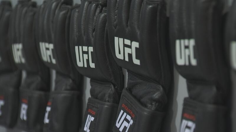 First-hand look at UFC X, a two-day fan experience