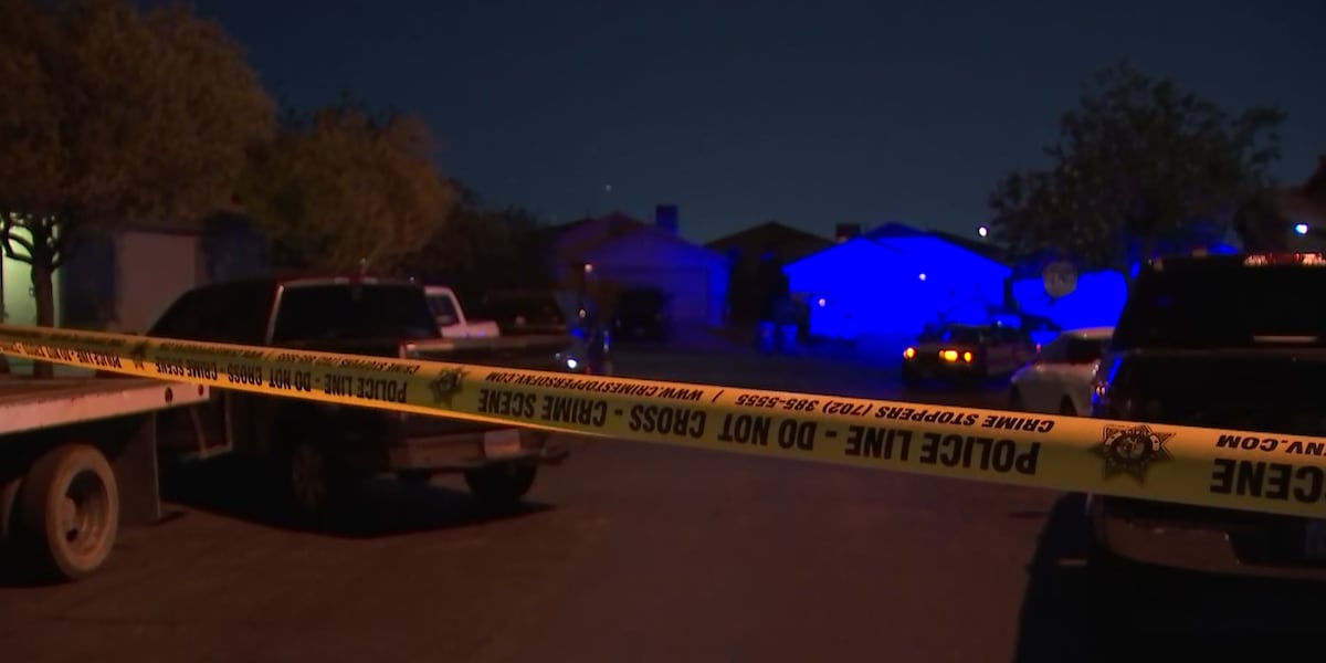 Las Vegas police investigate barricade following domestic dispute Las Vegas police investigate barricade following domestic dispute