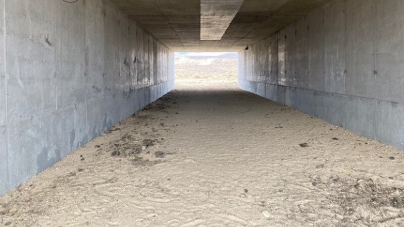 Underpass at USA Parkway near Silver Springs