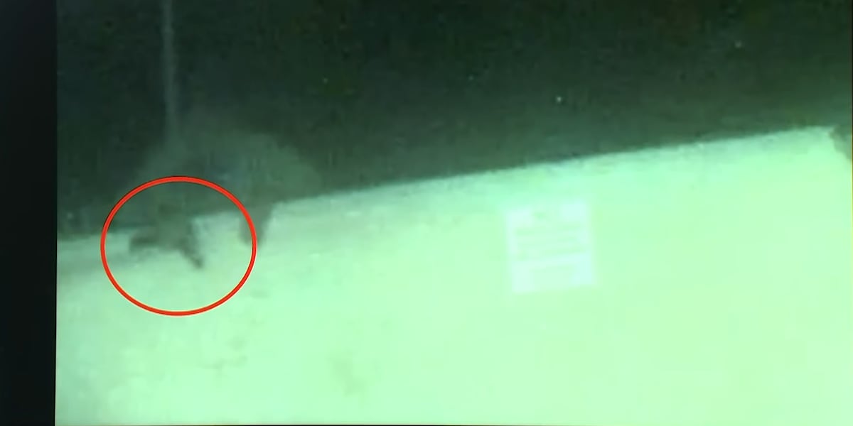 Las Vegas police searching for shooting suspects after woman lost her eye Las Vegas police searching for shooting suspects after woman lost her eye