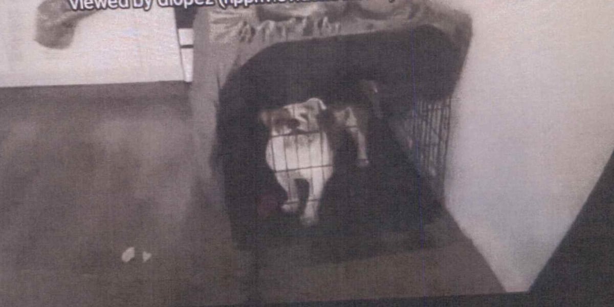 ‘Reba’s law’ revived in Nevada Legislature to strengthen animal cruelty penalties ‘Reba’s law’ revived in Nevada Legislature to strengthen animal cruelty penalties