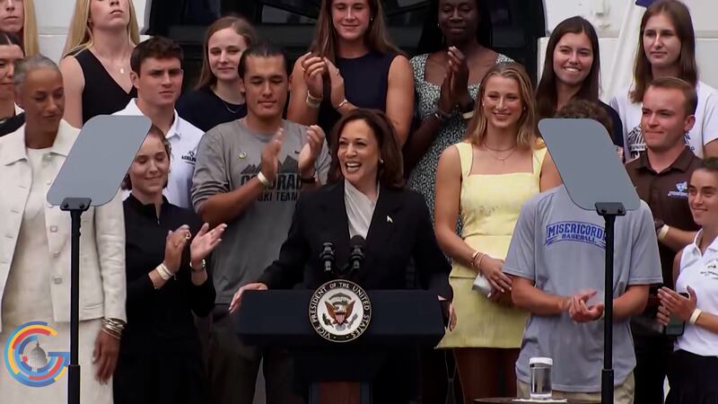 Election 2024: VP Kamala Harris background