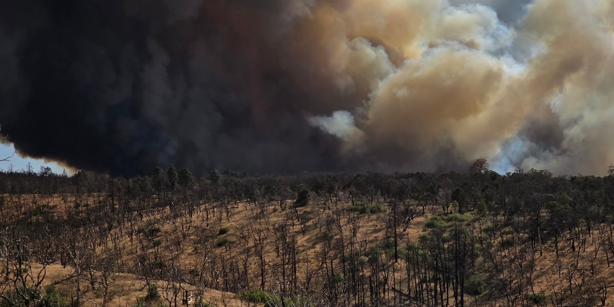 White Sage Fire forces evacuations of Grand Canyon’s North Rim, Jacob Lake White Sage Fire forces evacuations of Grand Canyon’s North Rim, Jacob Lake