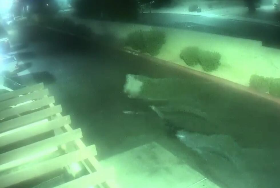 Las Vegas police are searching for the shooting suspects after a woman lost her eye in October.