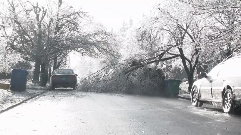 Frozen pipes and falling limbs: Tips to prepare your home for winter weather