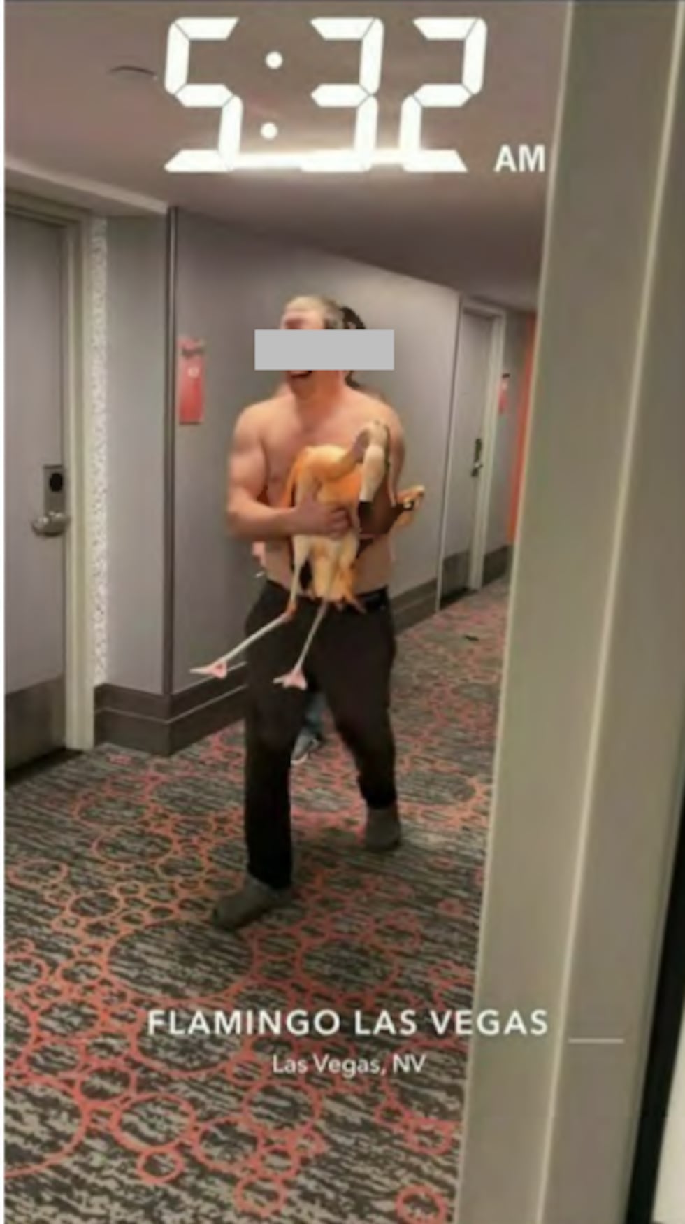 A man faces four counts of animal cruelty after Las Vegas police say he broke into a Flamingo...