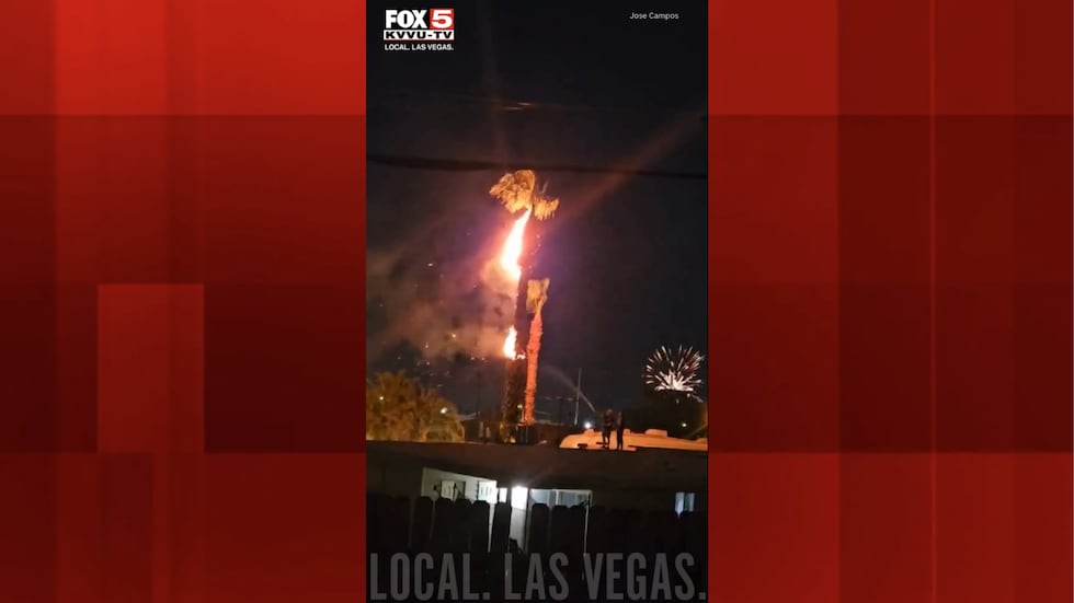 FOX5 viewer shares video of tree that caught fire where the resident tried putting it out with...