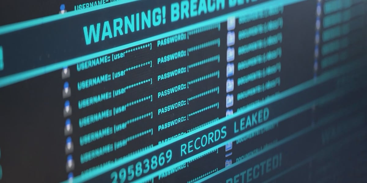 Las Vegas cyber security expert shares insight following statewide cyber attack Las Vegas cyber security expert shares insight following statewide cyber attack