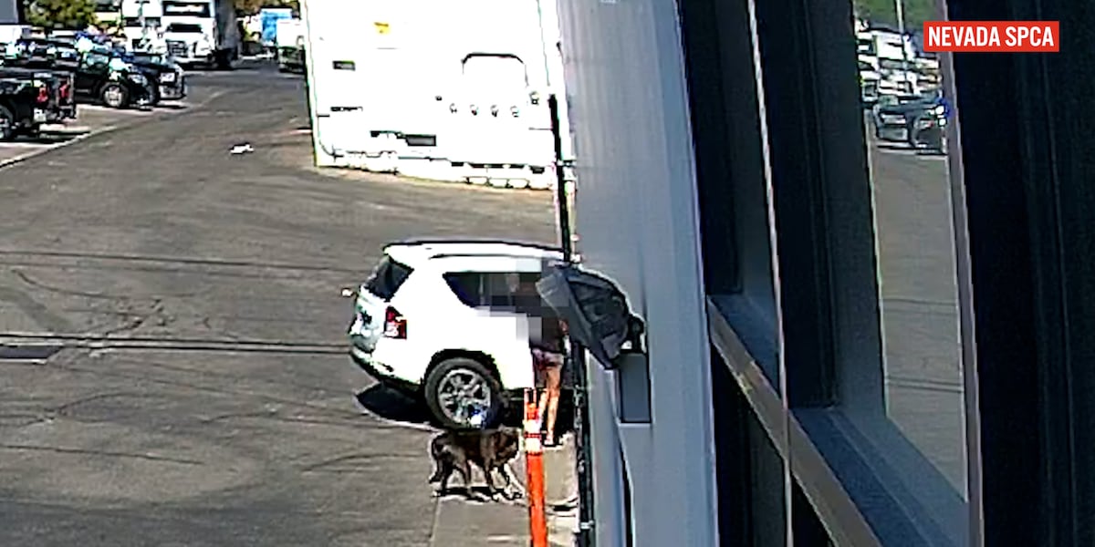 Dog abandoned, tied to pole outside of Las Vegas SPCA facility Dog abandoned, tied to pole outside of Las Vegas SPCA facility