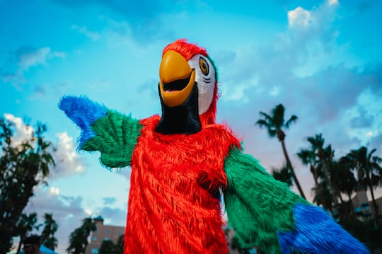 Mesquite resort, casino asking public to name parrot in logo, mascot