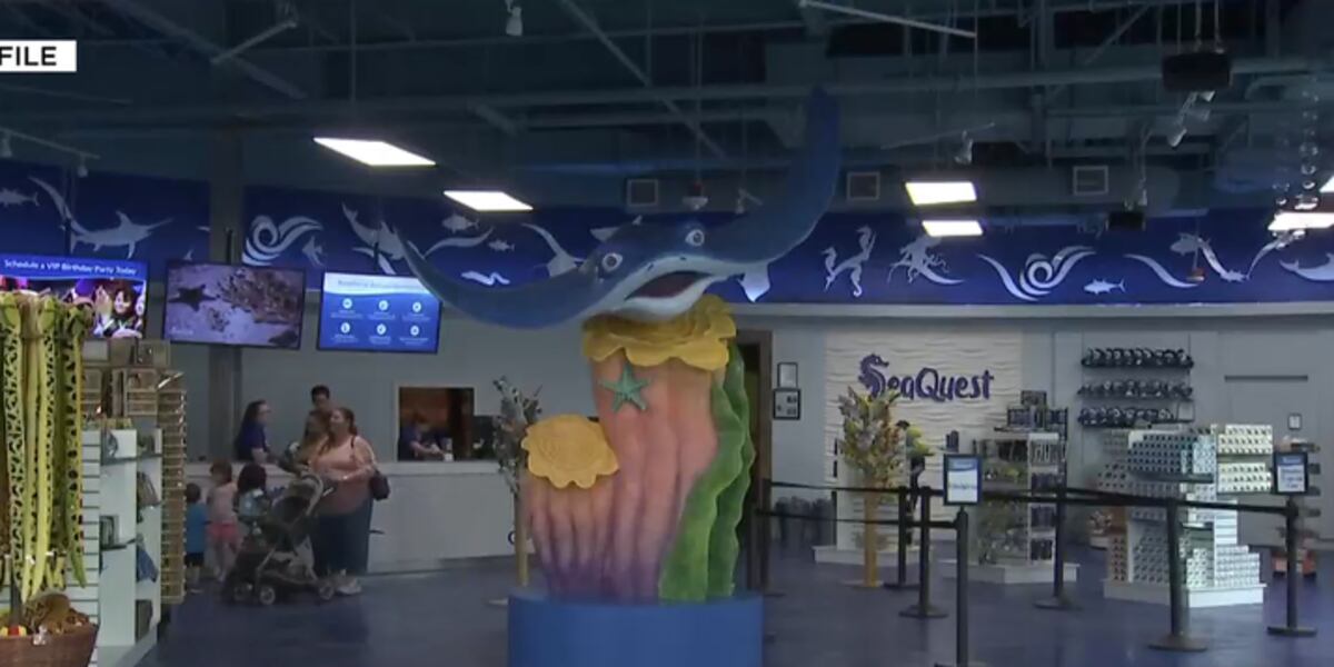 Las Vegas mall to own aquarium after bankruptcy filing Las Vegas mall to own aquarium after bankruptcy filing