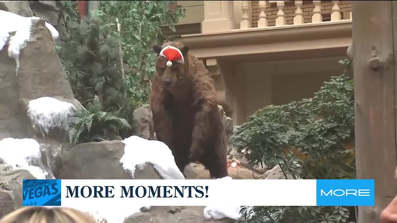 A look back at our favorite moments from the week.