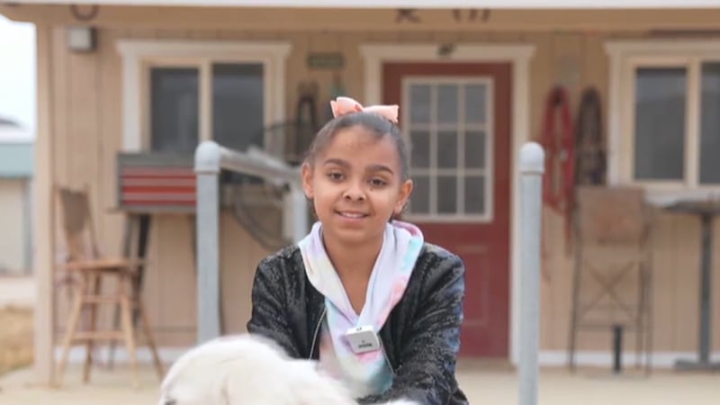 With a critical need for foster and adoptive parents in Southern Nevada, FOX5 and Clark County...