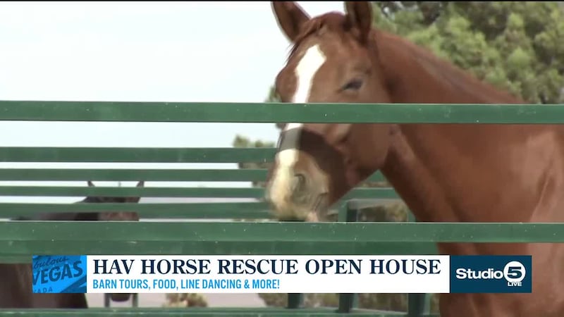 Barn tours, line dancing, food and more.