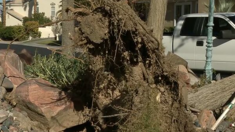 It's a First Alert Weather Day, and FOX5 crews found a tree that toppled over in the northwest...
