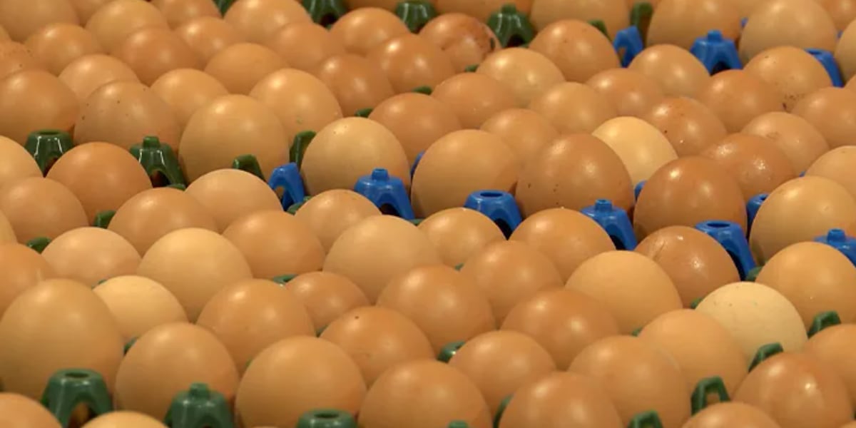 4 salmonella cases linked to brown eggs reported in Southern Nevada
