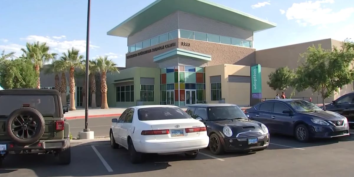 Las Vegas shelter takes in nearly 150 pets over Fourth of July weekend