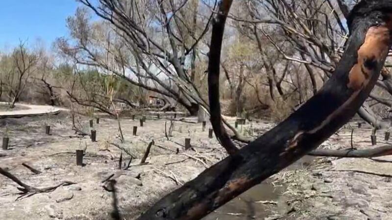 With storms in the forecast, Clark County Wetlands Park is preparing for whatever comes their...