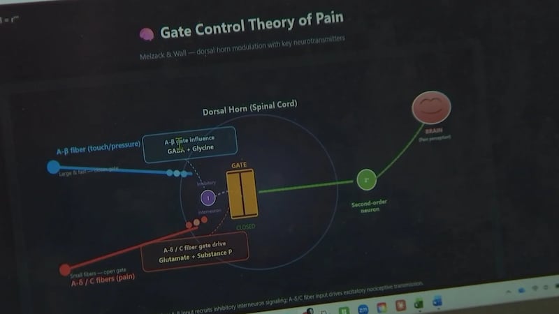 A Touro University Nevada professor is using AI to help future physical therapists understand...