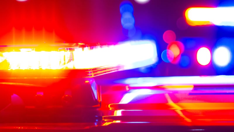 Dog shot, killed near Desert Inn, Las Vegas Blvd