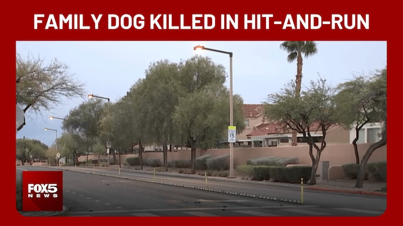 A Las Vegas family’s dog was killed in a hit-and-run. Now, they are urging the public to help...