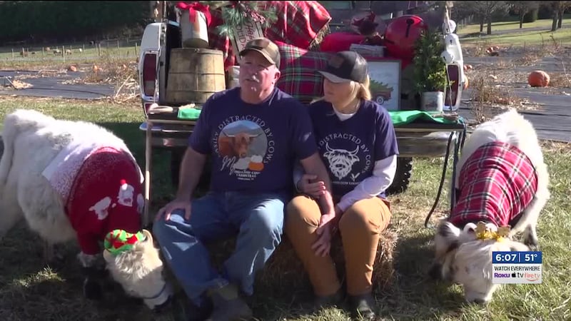 One local farm in Penn Laird, Virginia, now home of Myer’s Pumpkins and Myer’s Highland Cow...